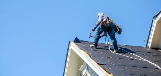 Roof Gutter Cleaning in Black River, NY